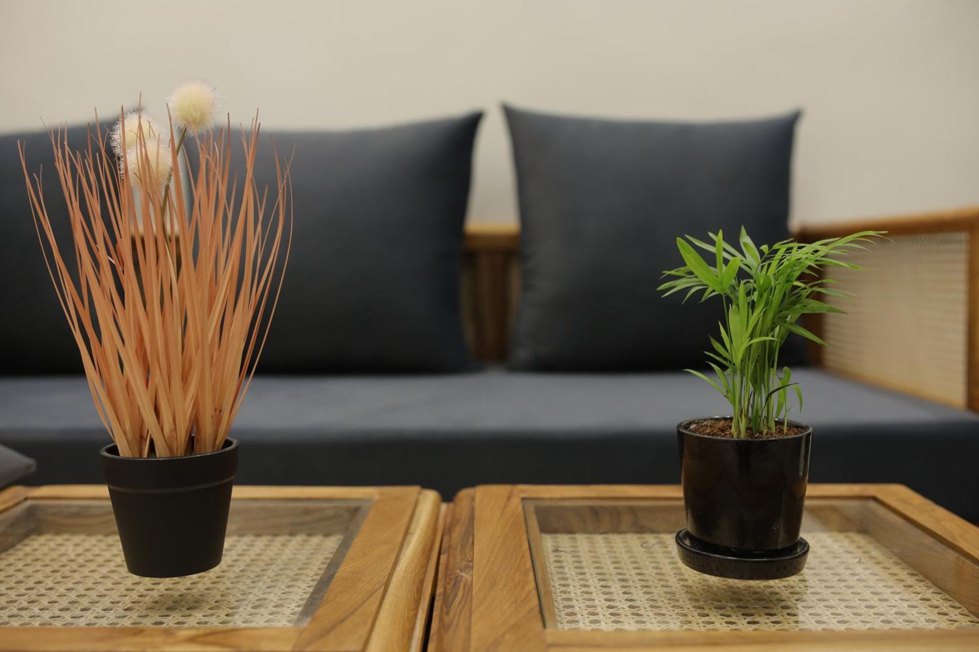 Narayana Homes Матура Екстериор снимка